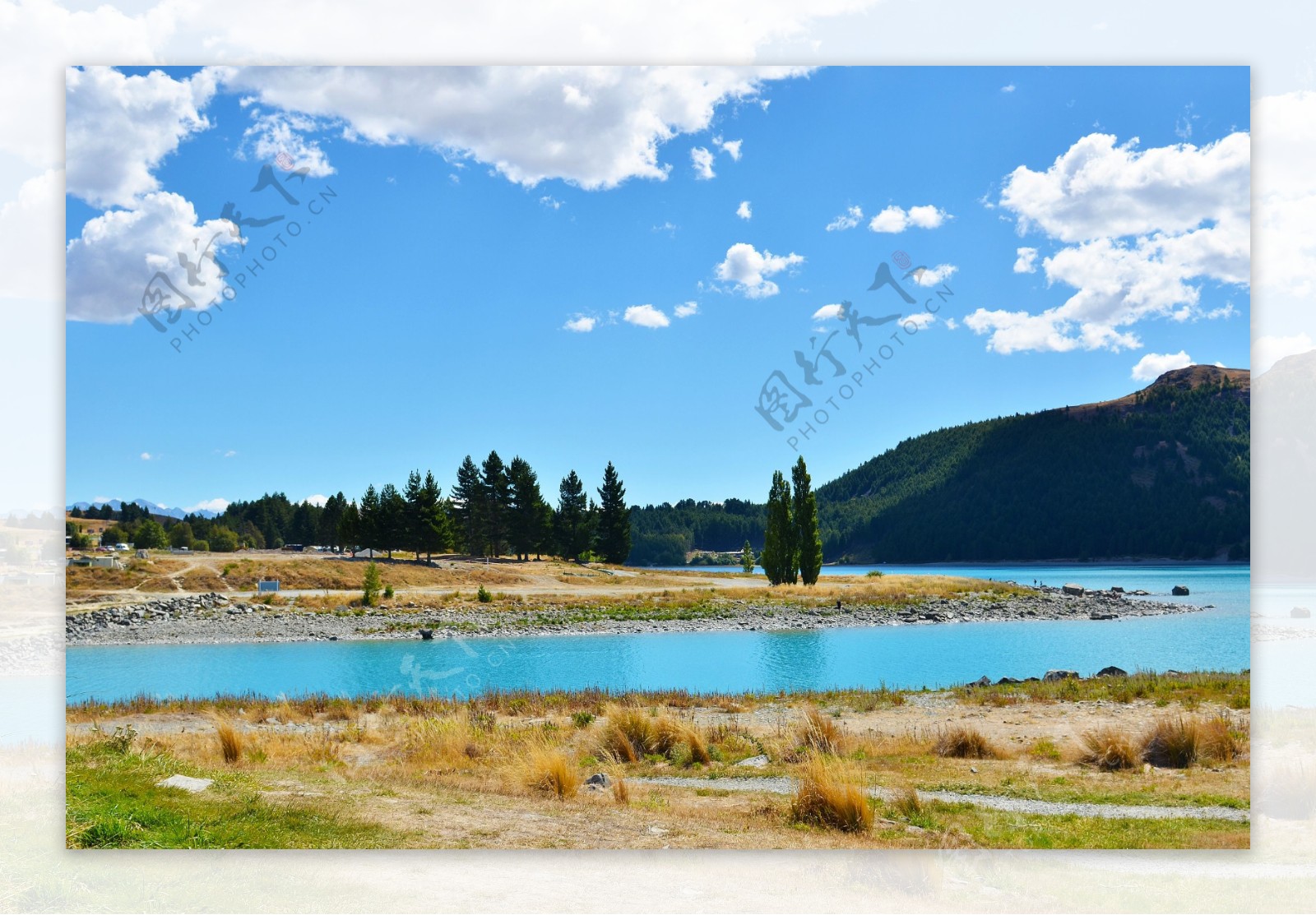 新西兰特卡波湖风景