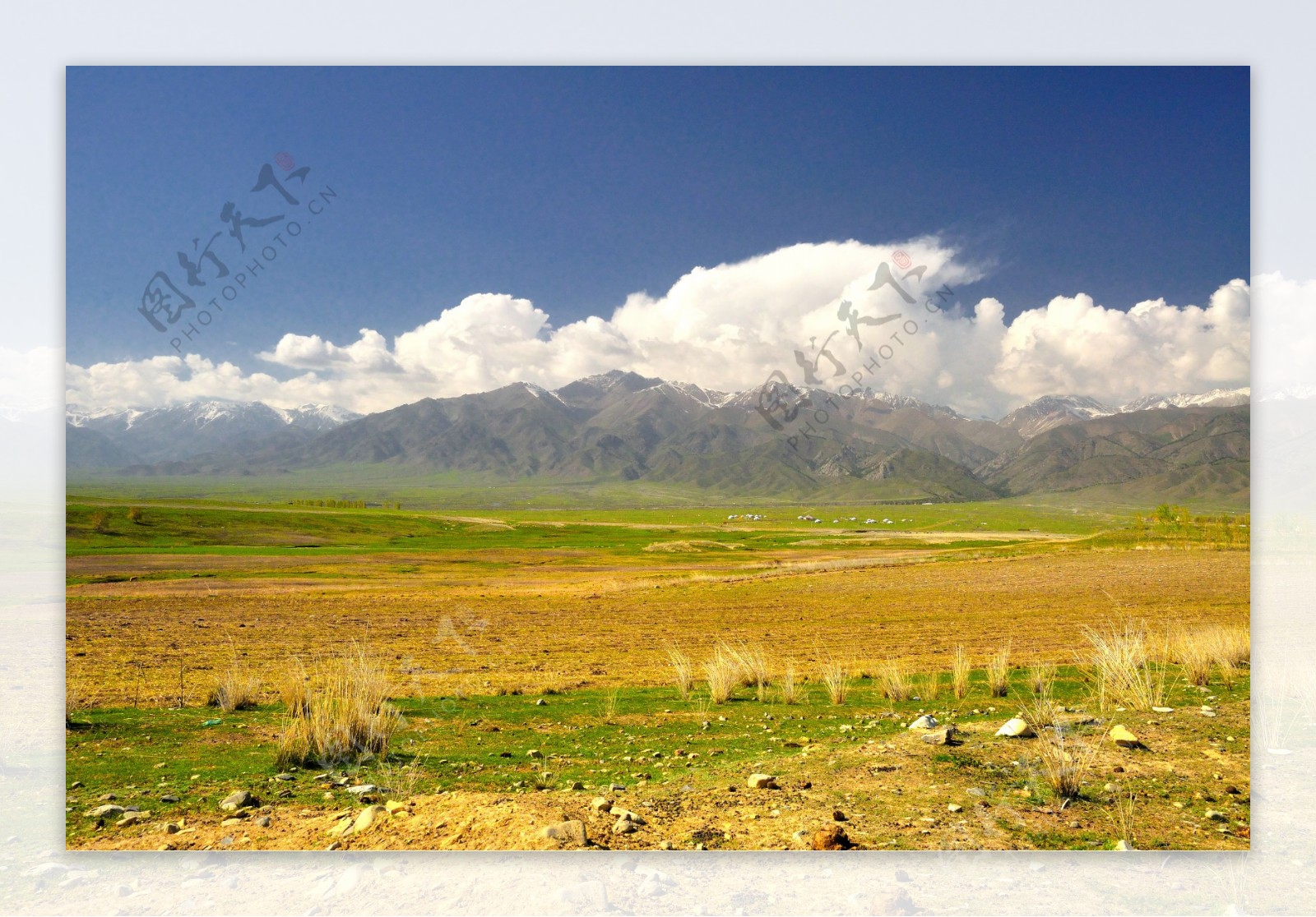 新疆阿尔夏提风景