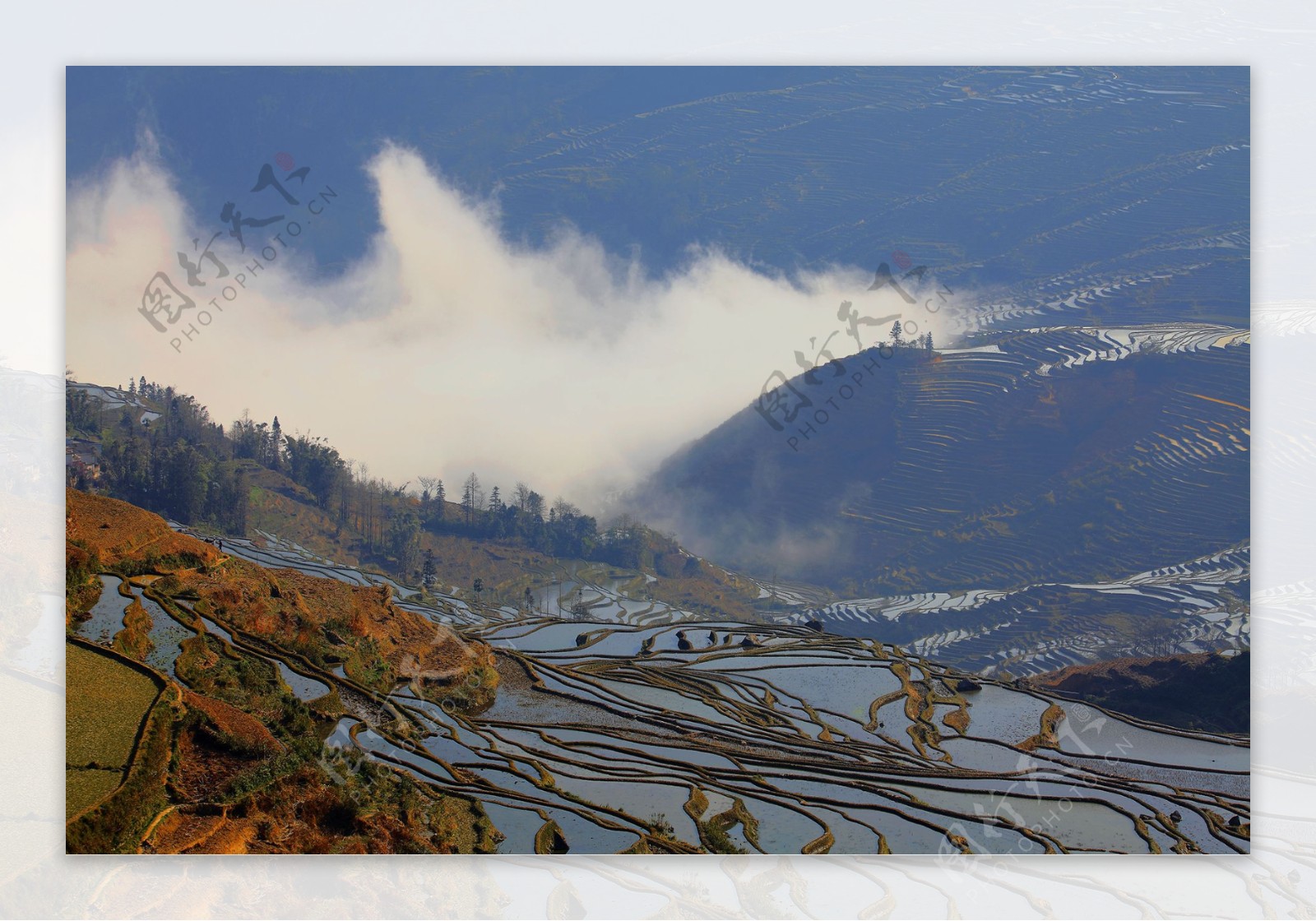 云南元阳梯田风景