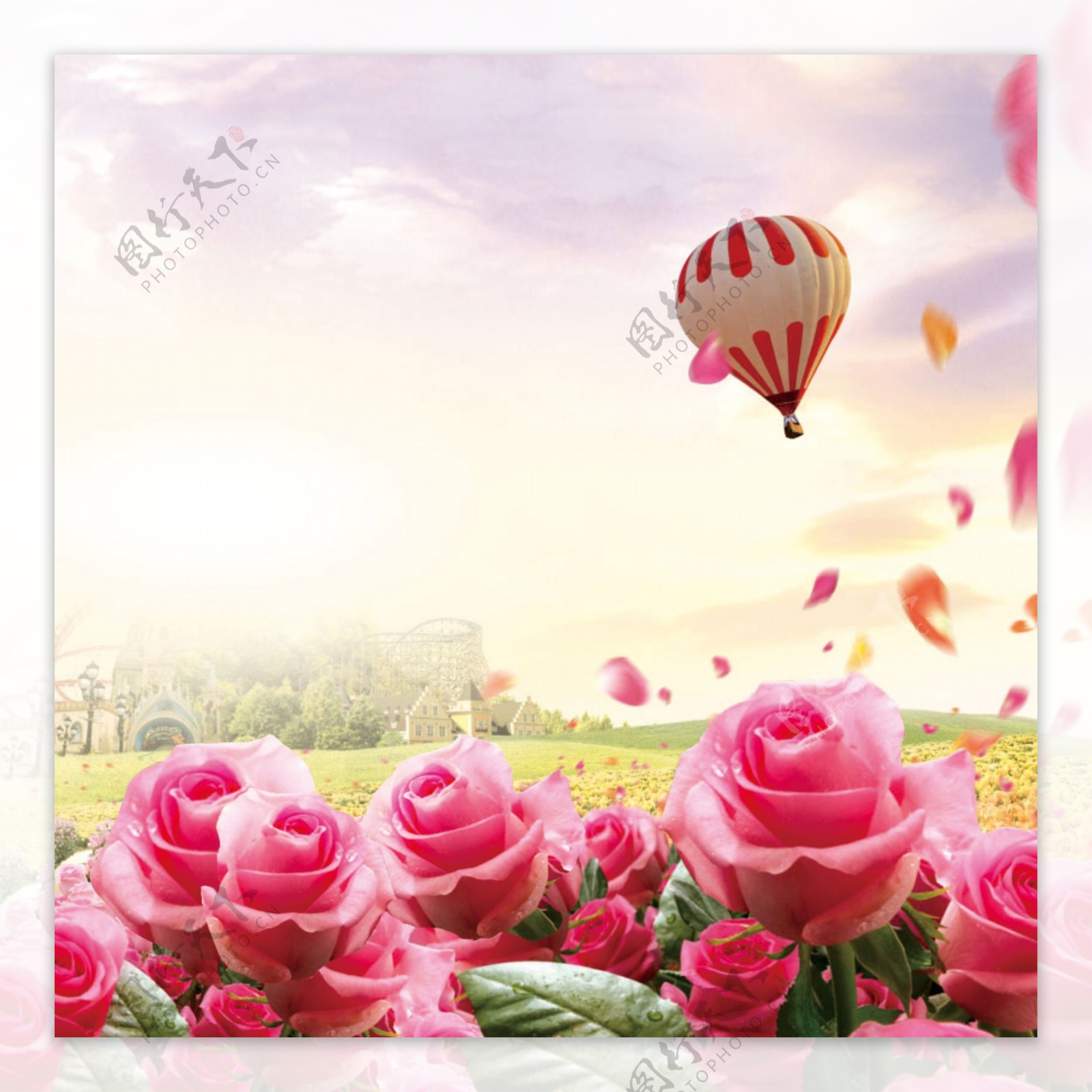 花海玫瑰花飘落的花瓣氢气球广告背景素材