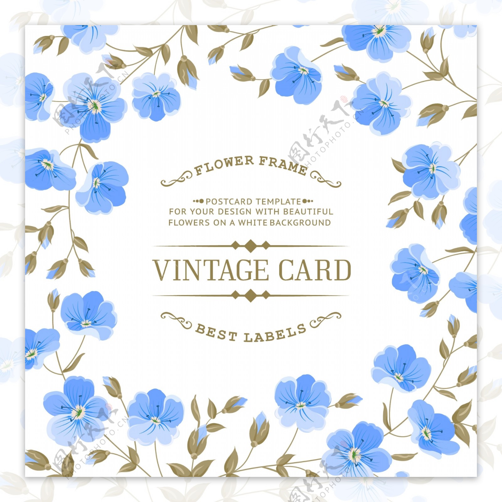 蓝色花卉装饰卡片设计矢量素材