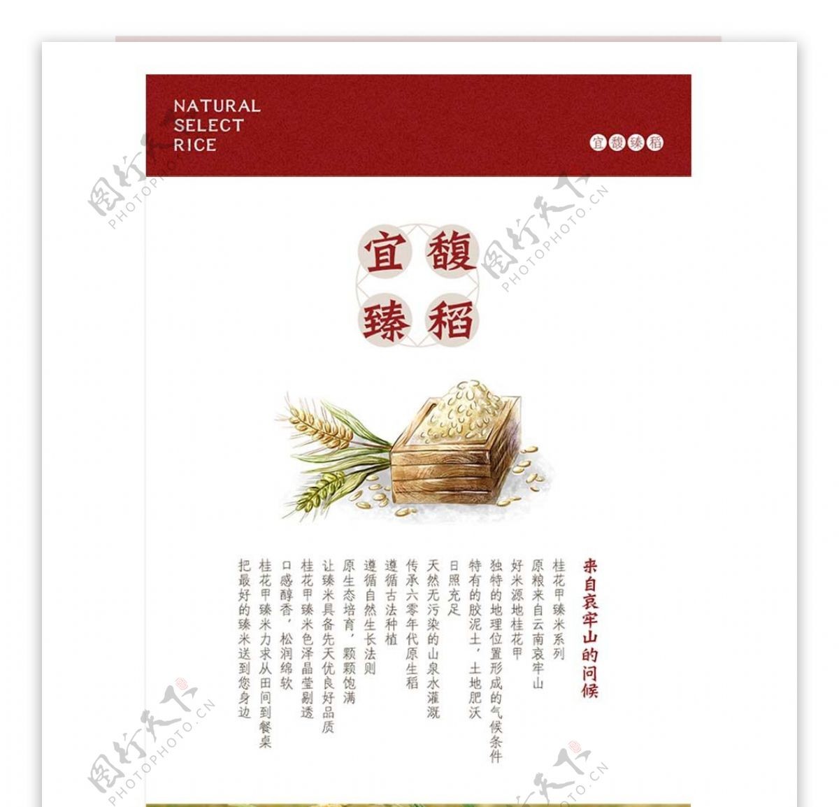 大米产品详情页