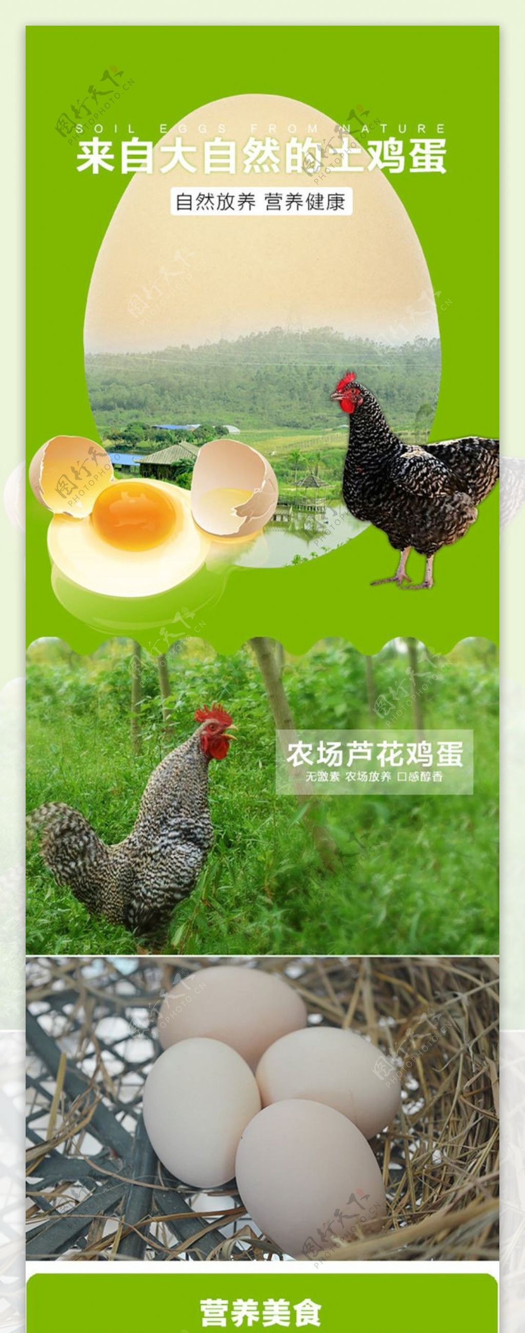 土鸡蛋淘宝详情页绿色