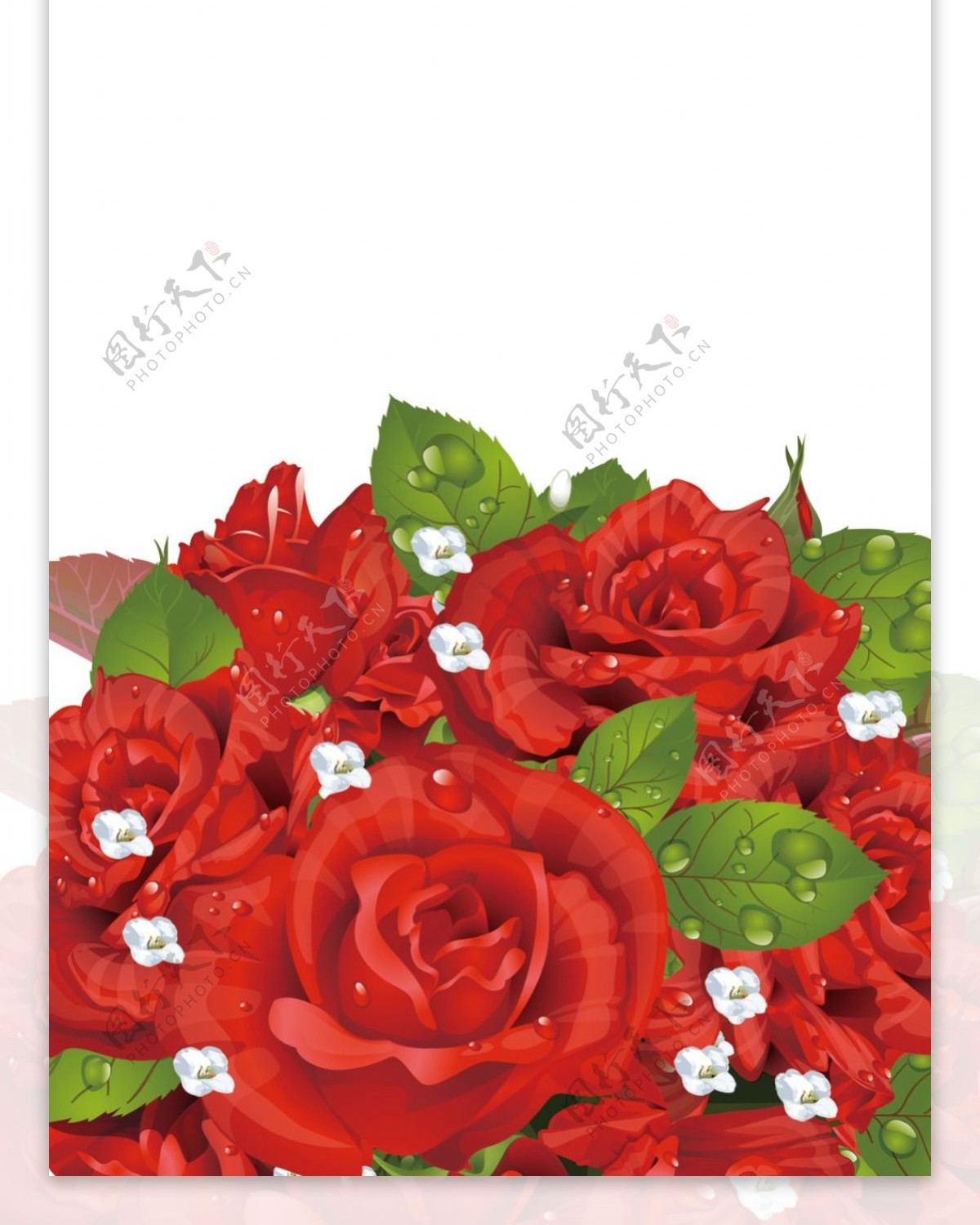玫瑰花素材展架素材画面