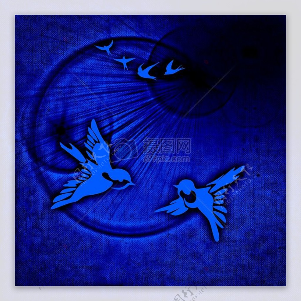 和平鸽鸟类和平对阳光背景蓝色抽象