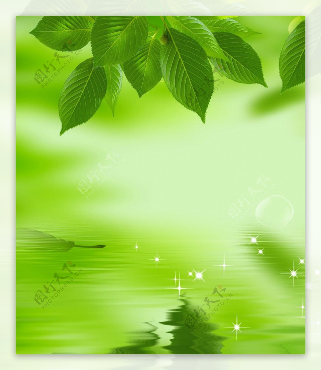 绿色海报树叶蜗牛