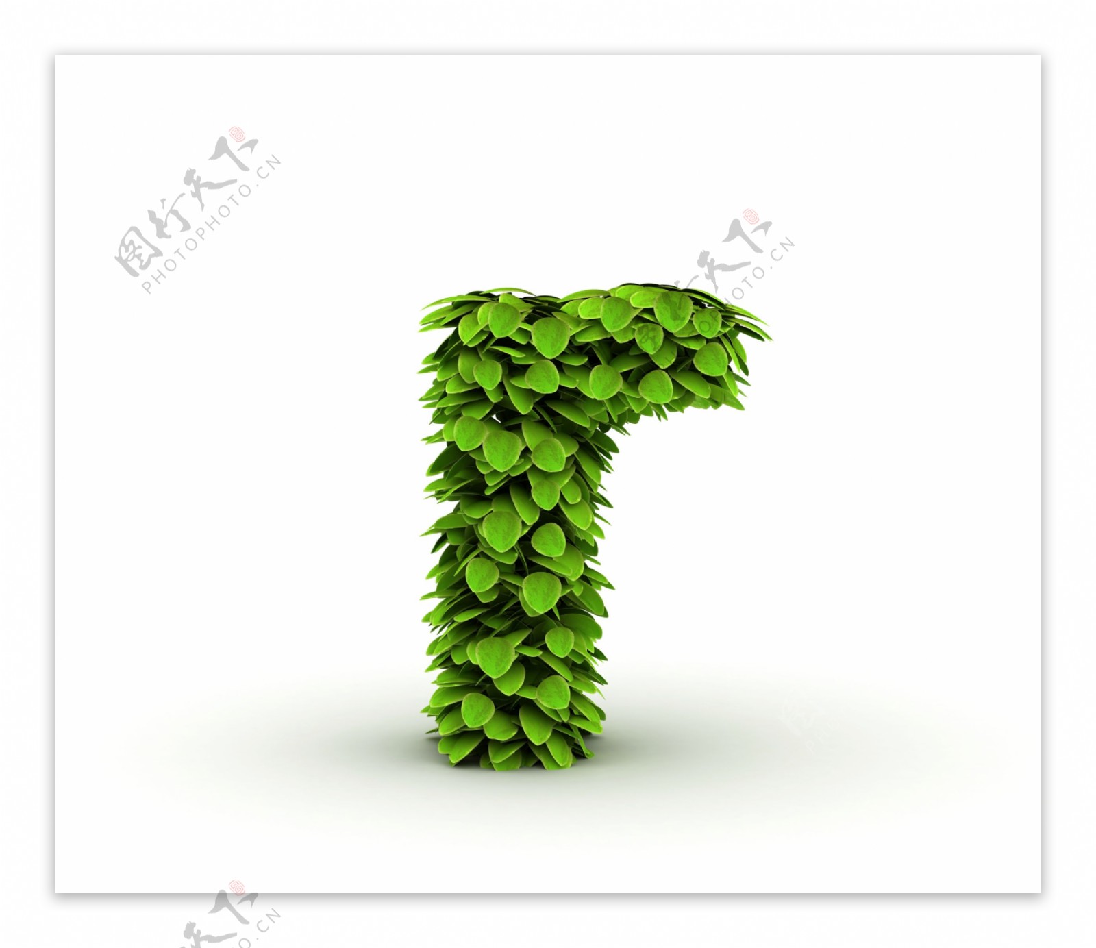 绿叶组成的字母r图片