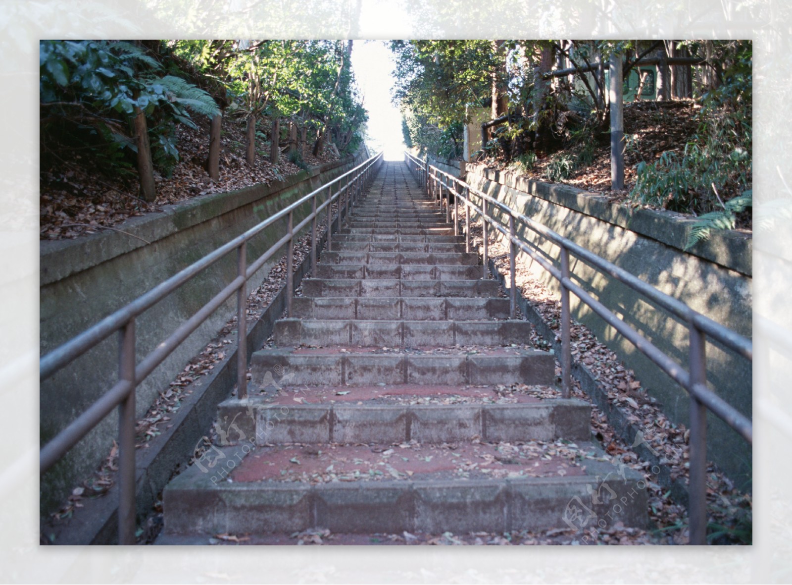 阶梯小路风景图片