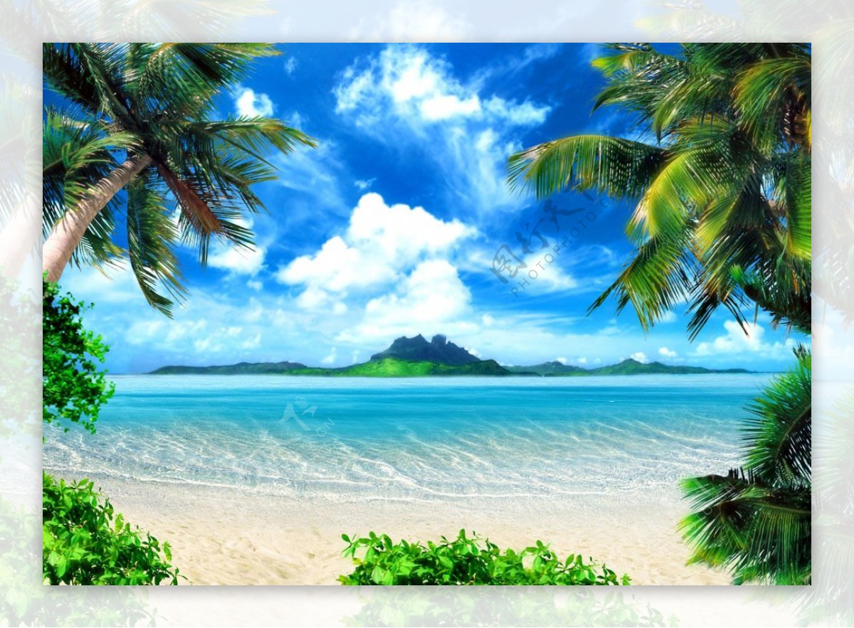 海中岛屿与海边椰树图片