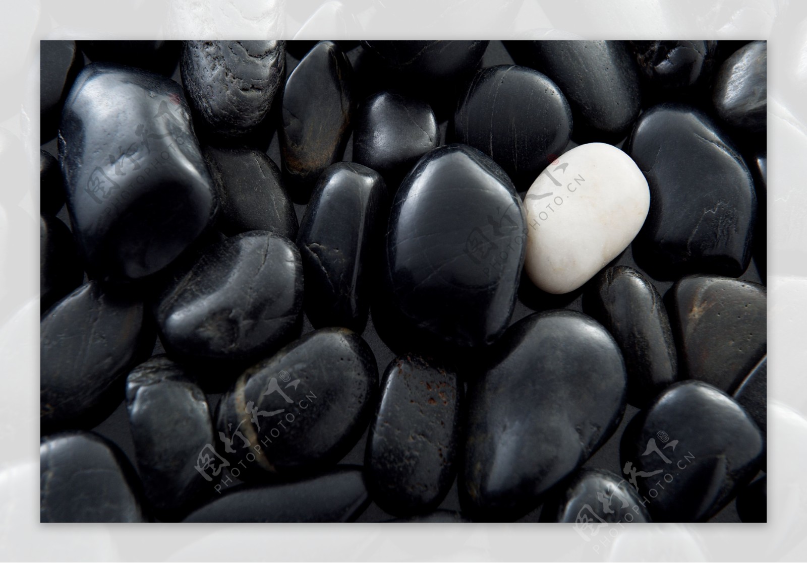 许多黑色石子和一个白色石子图片