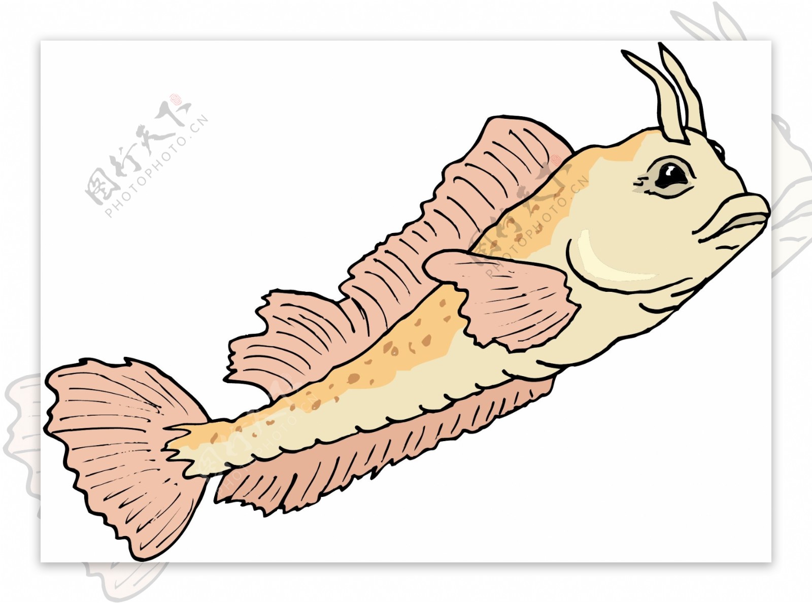 五彩小鱼水生动物矢量素材EPS格式0066
