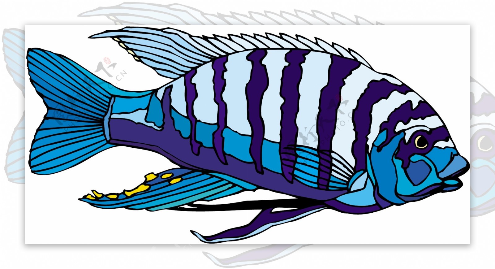 五彩小鱼水生动物矢量素材EPS格式0166