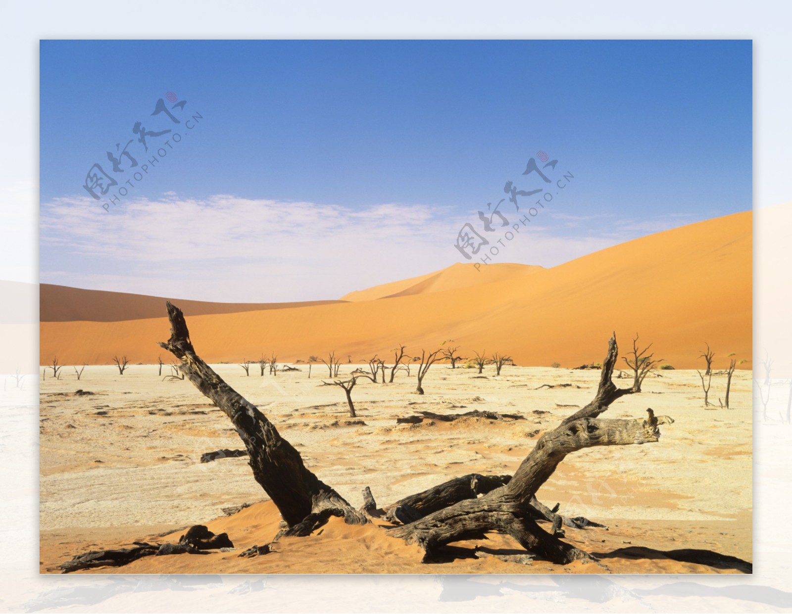 大沙漠风光摄影图片
