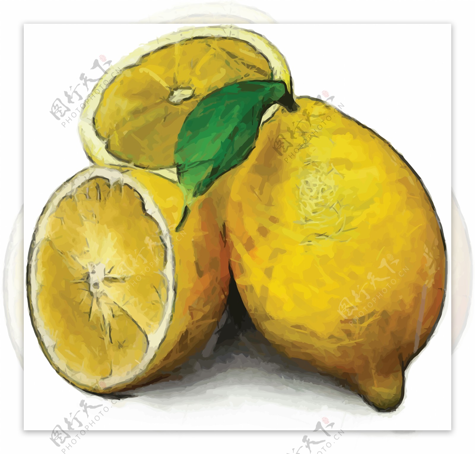 手绘柠檬图案图片