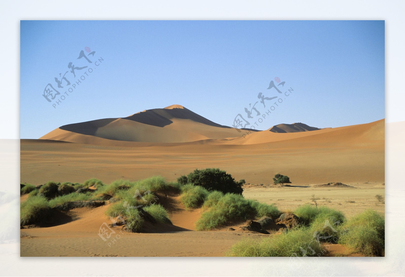 蓝天下的沙漠风光图片