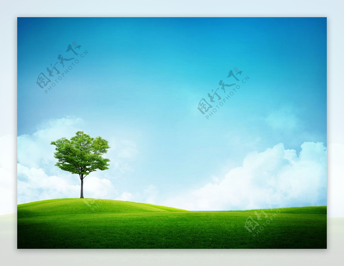 绿色原野上的绿色的树高清风景图片图片