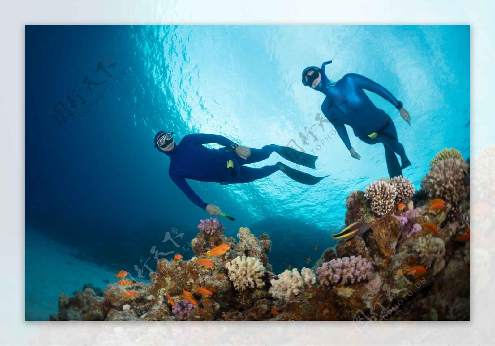 海底的潜水员图片
