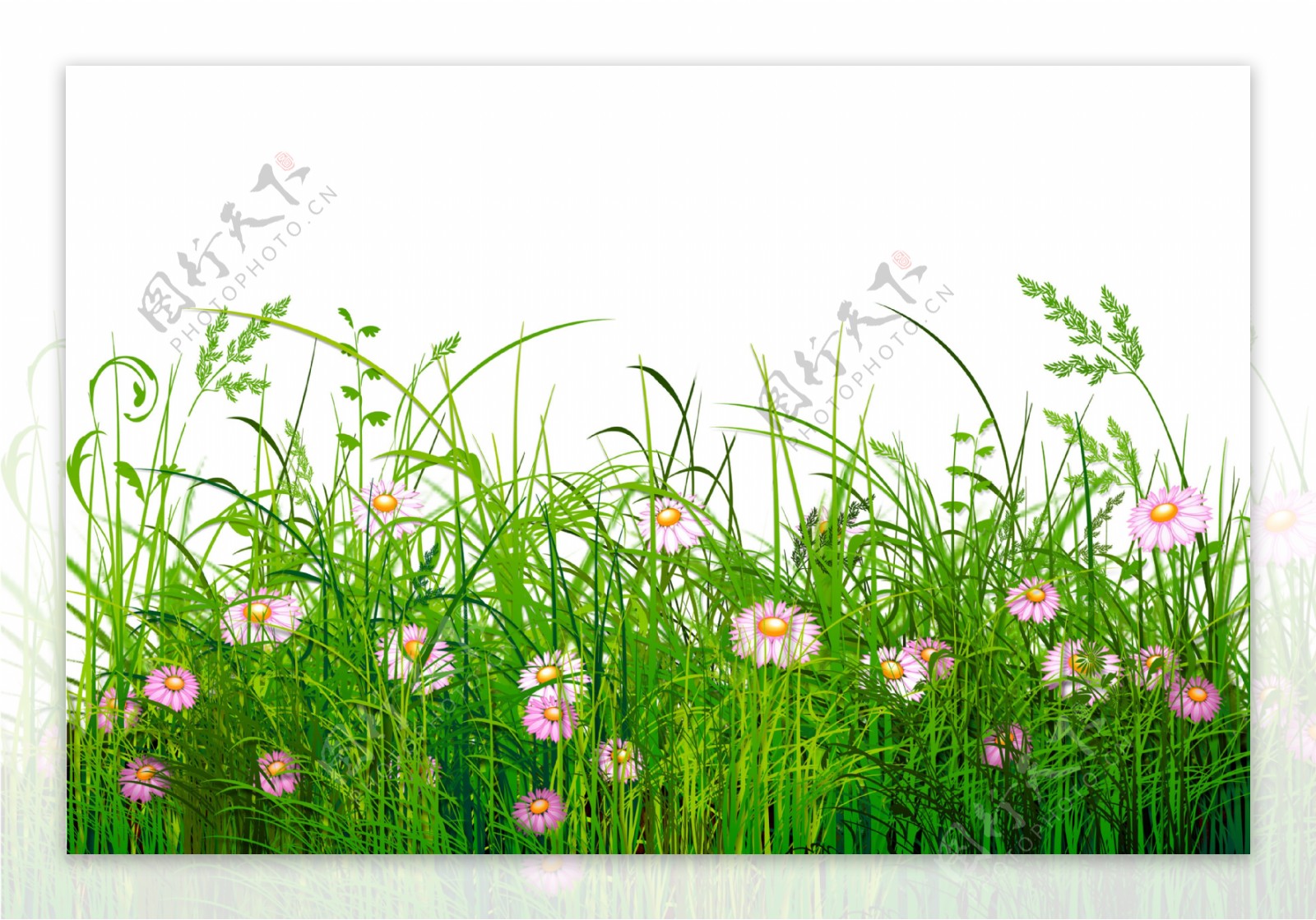 春天绿草鲜花图片