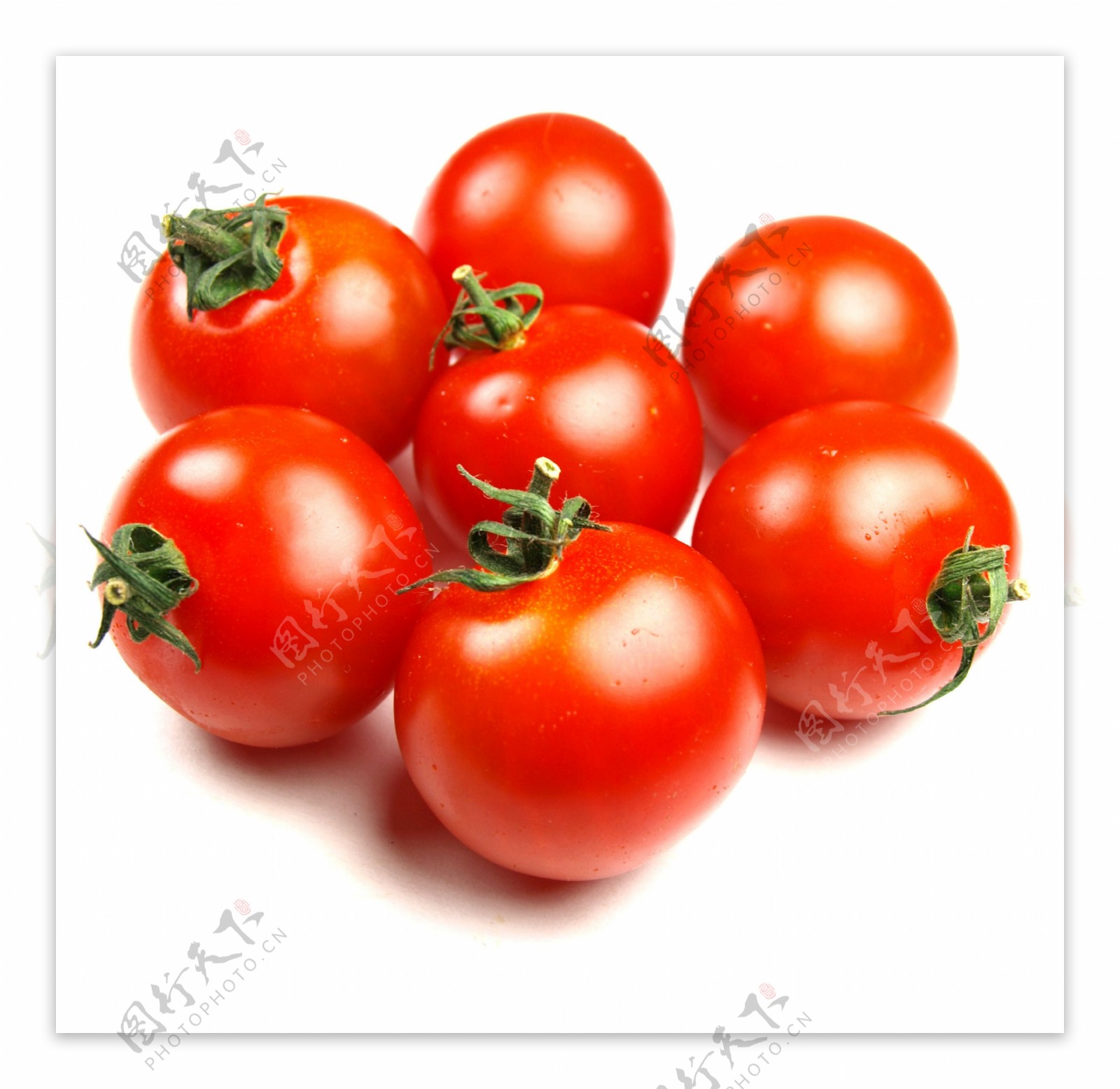 红色蕃茄图片