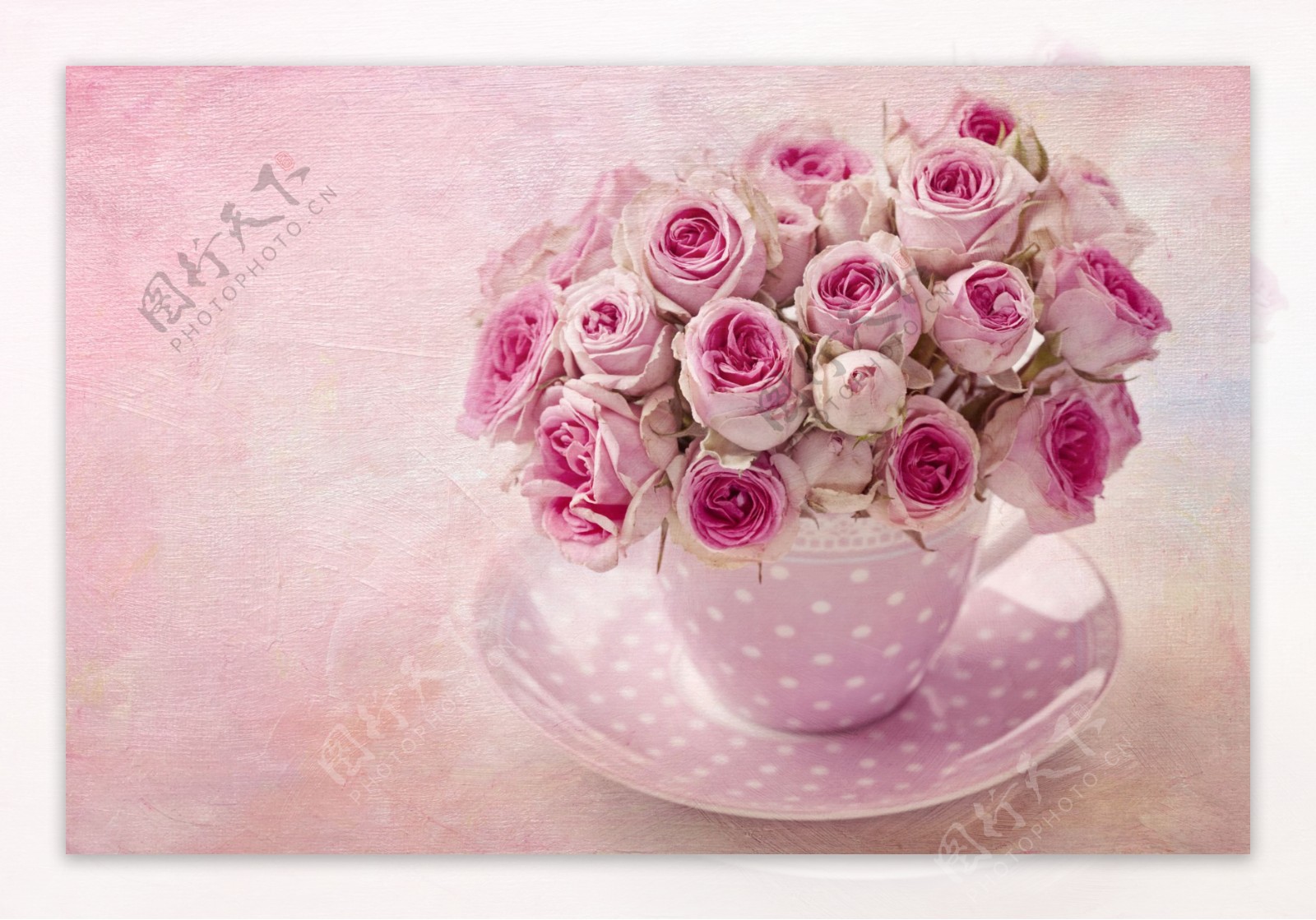 咖啡杯子里的粉红玫瑰图片
