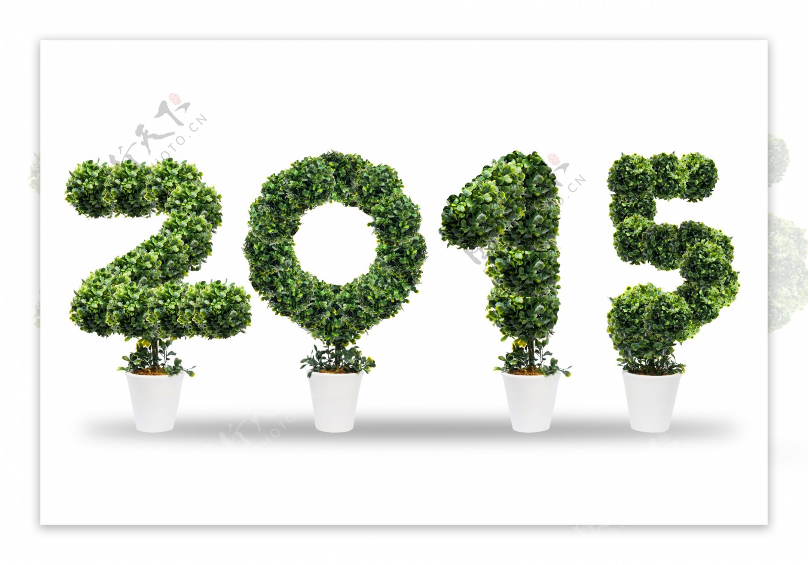 创意绿树2015