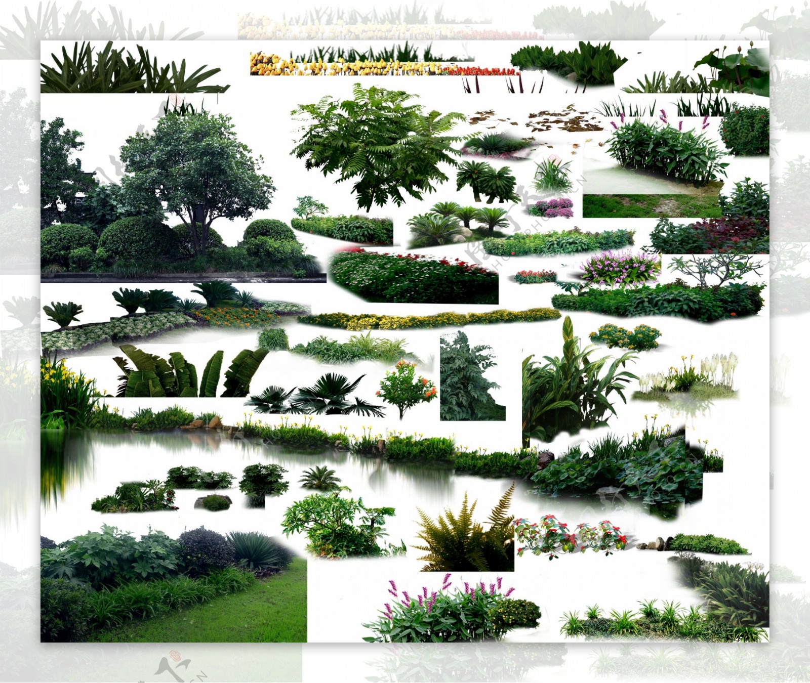 灌木绿树丛免抠png透明图层素材图片-图行天下素材网