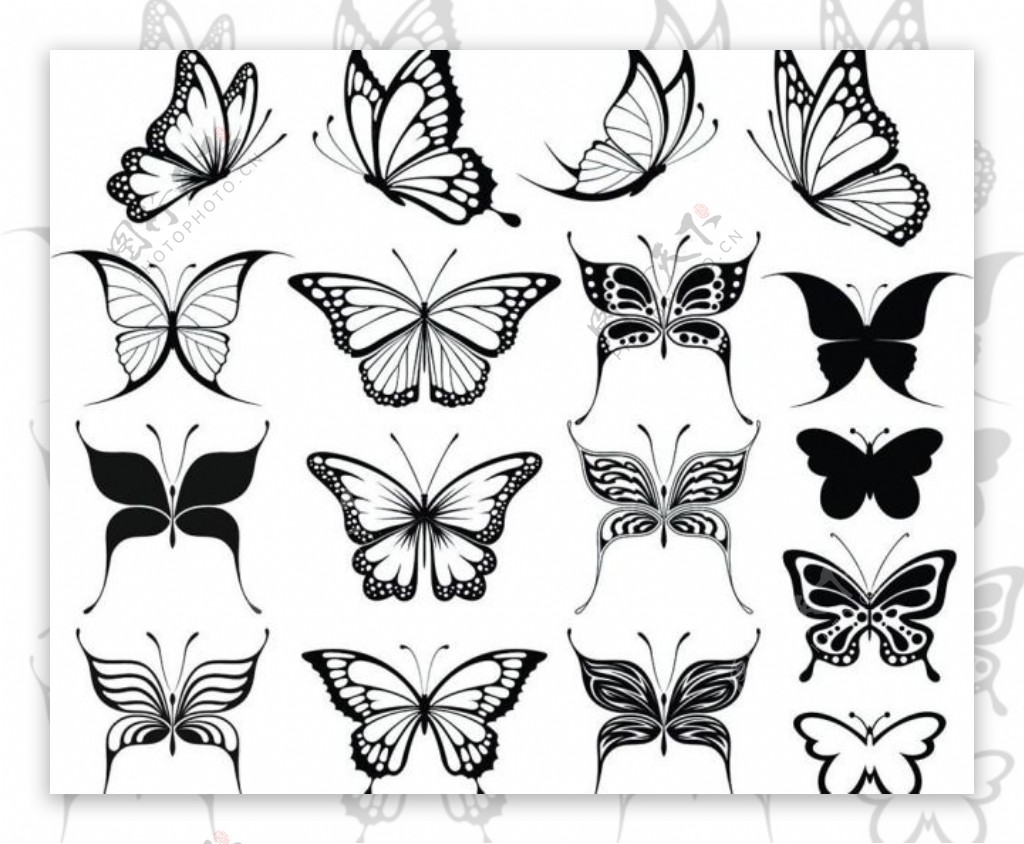 黑白蝴蝶图案花纹
