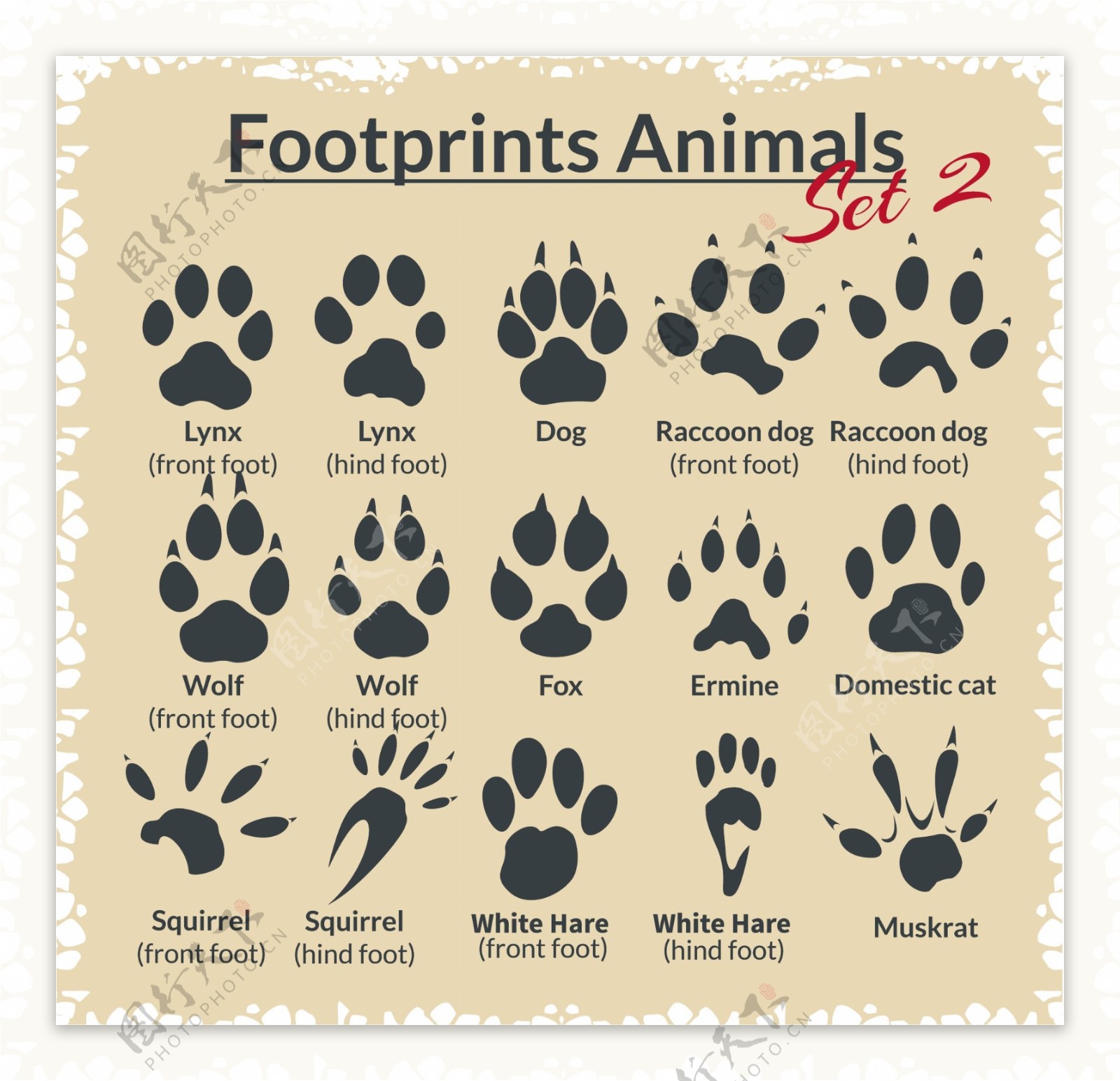 各种动物脚印图案矢量素材下载