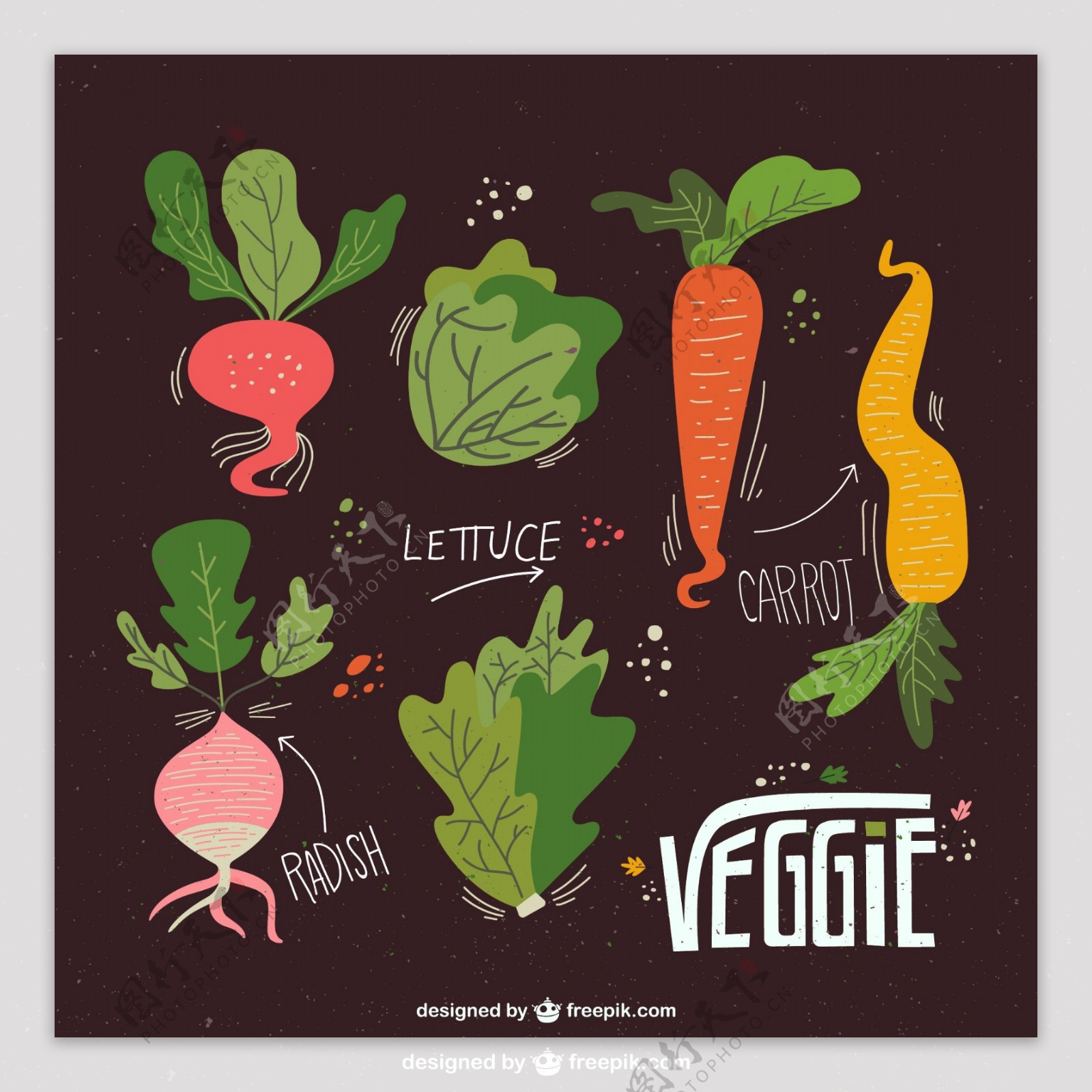 7蔬菜设计