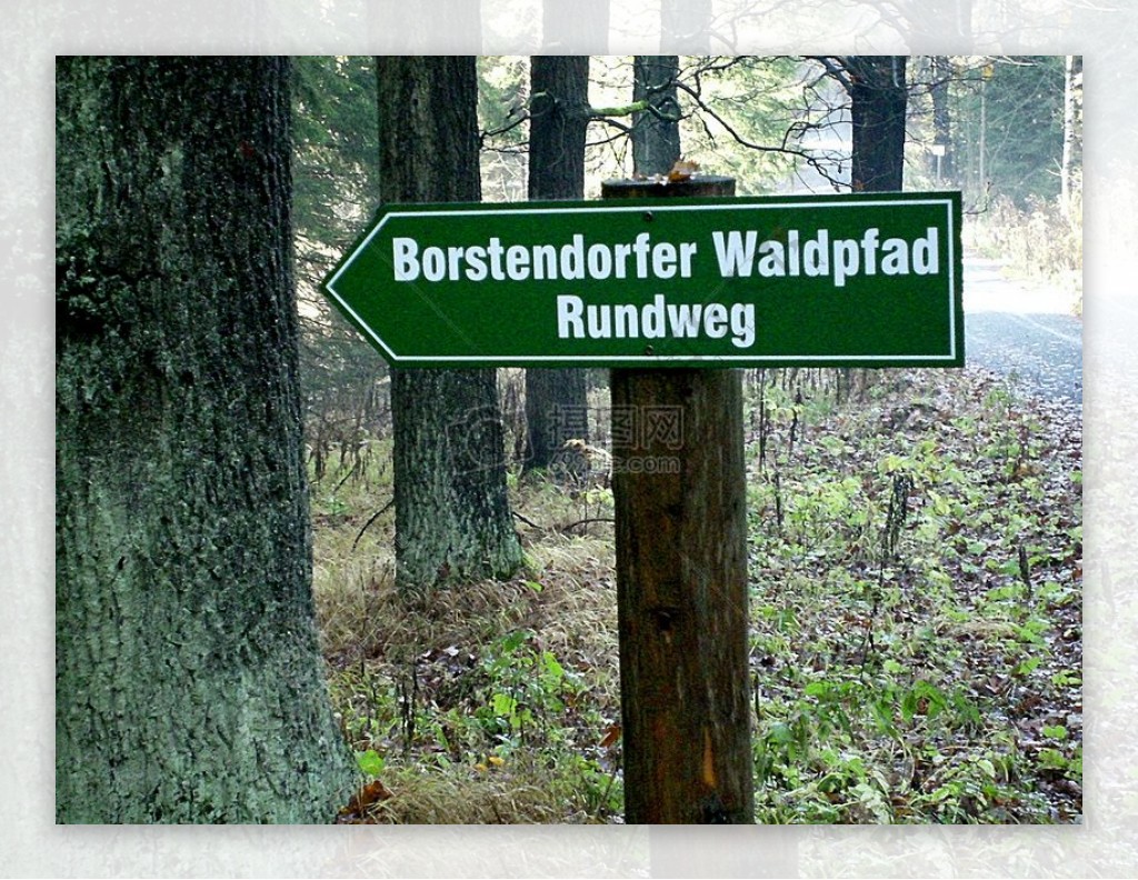 森林里的木制路牌