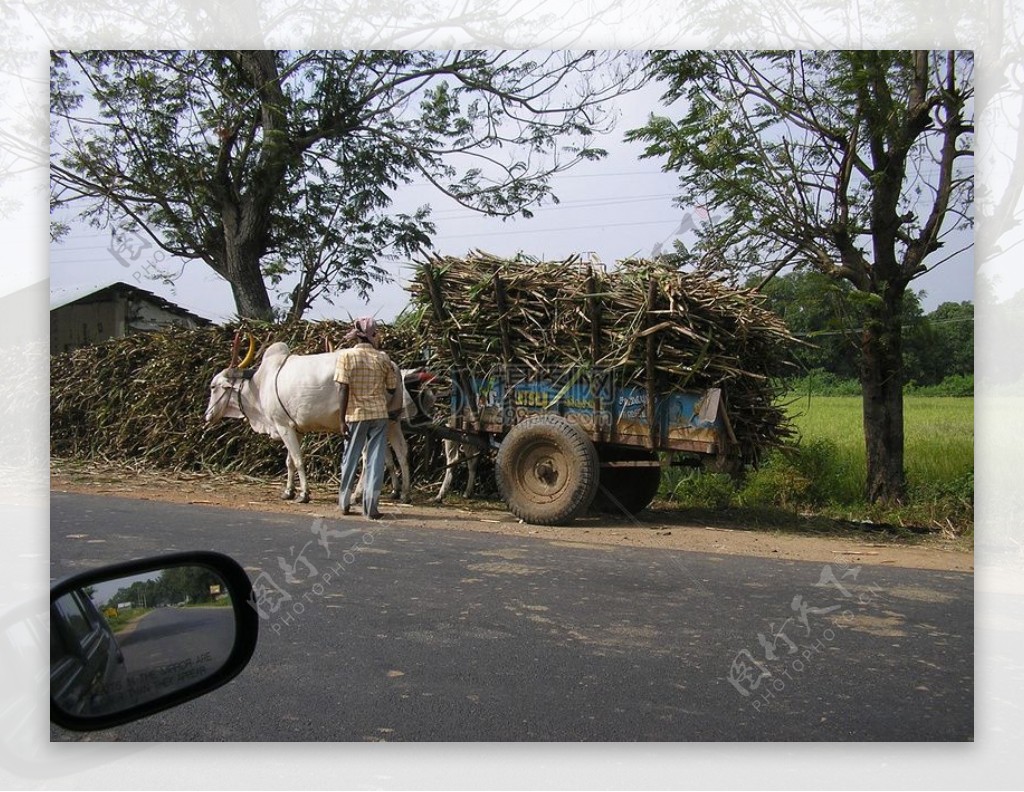 购物车