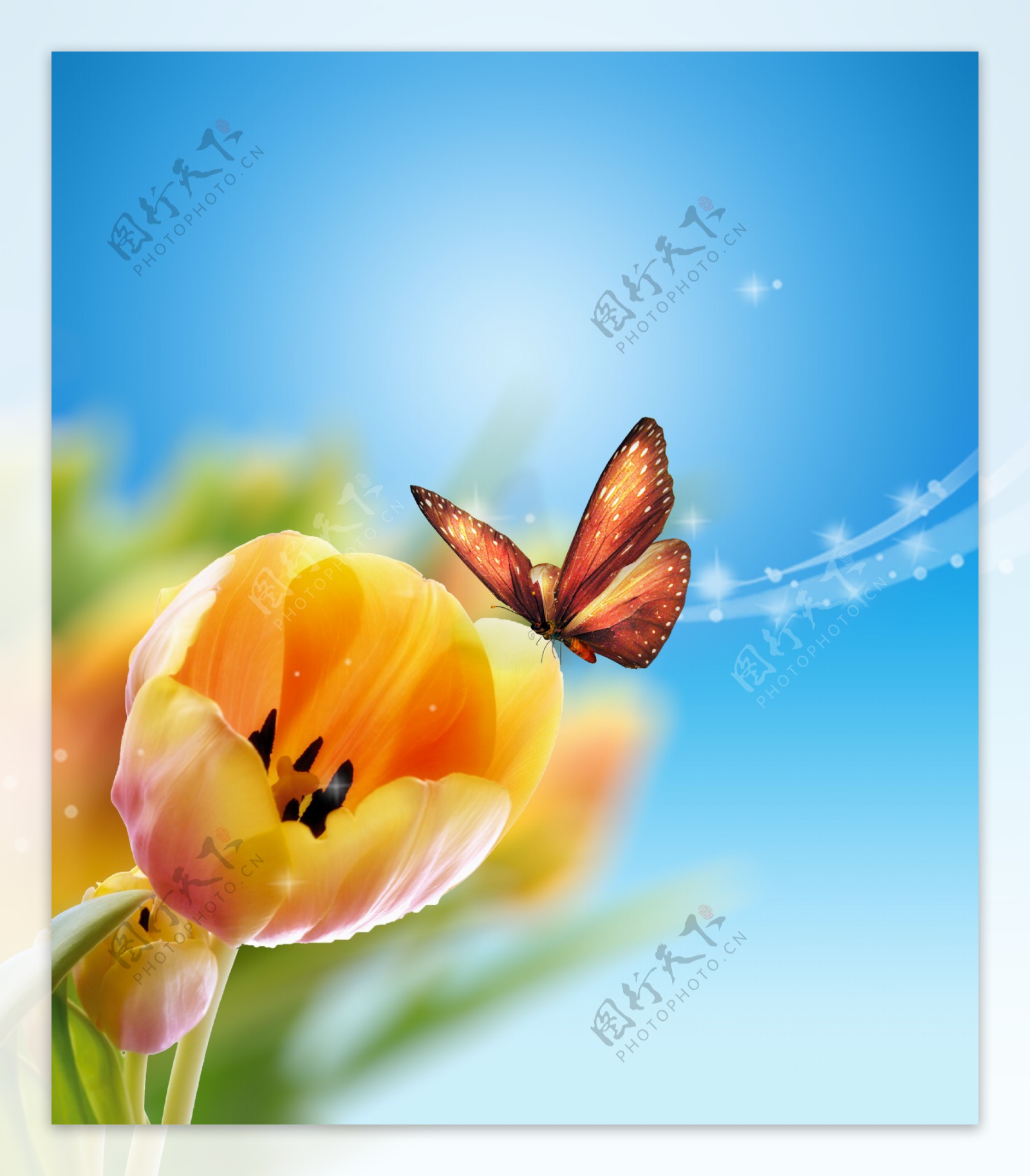 梦幻鲜花与蝴蝶图片