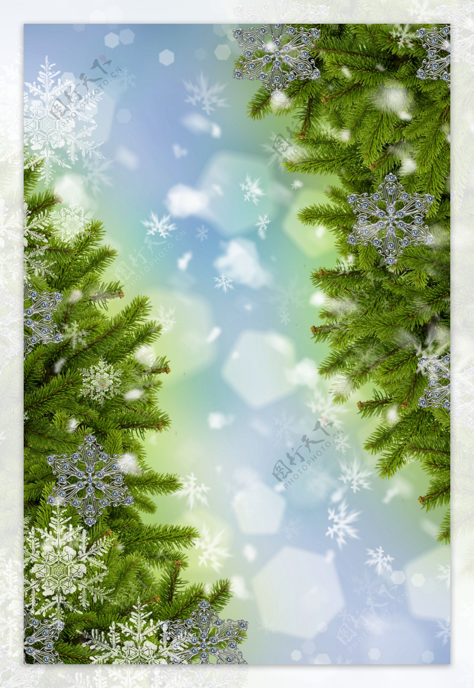 雪花与圣诞树图片