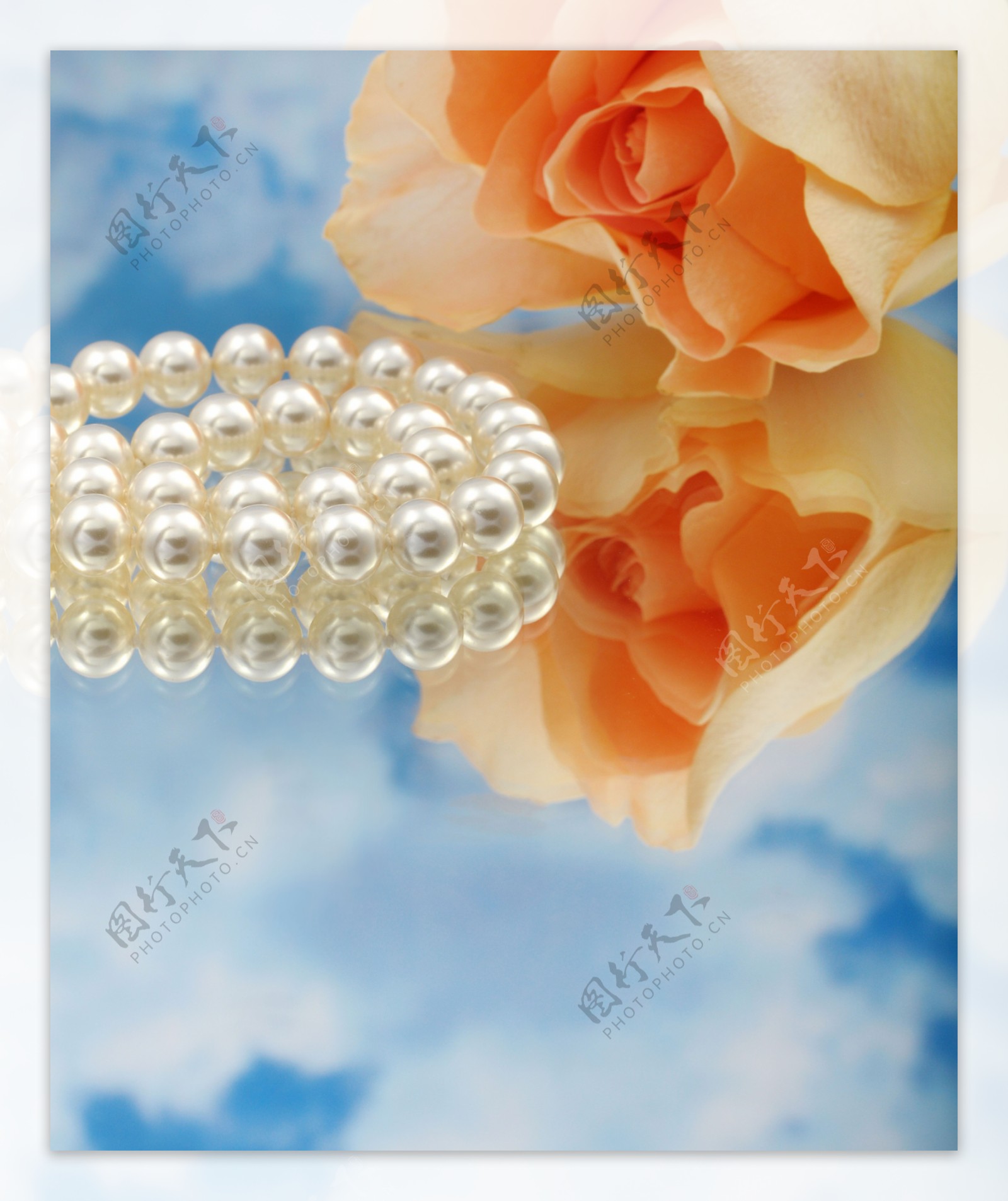 珍珠项链与玫瑰花图片