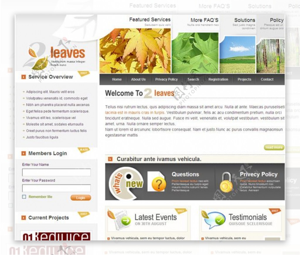 植物花卉类网站模板