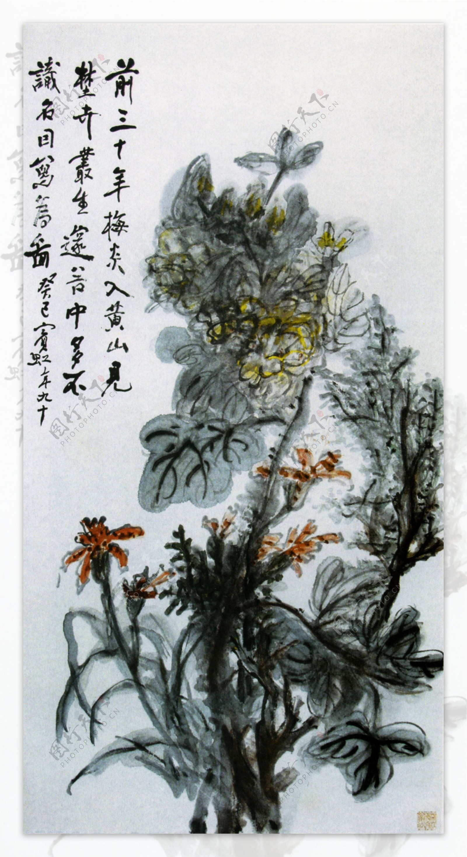 设色花卉传统水墨画