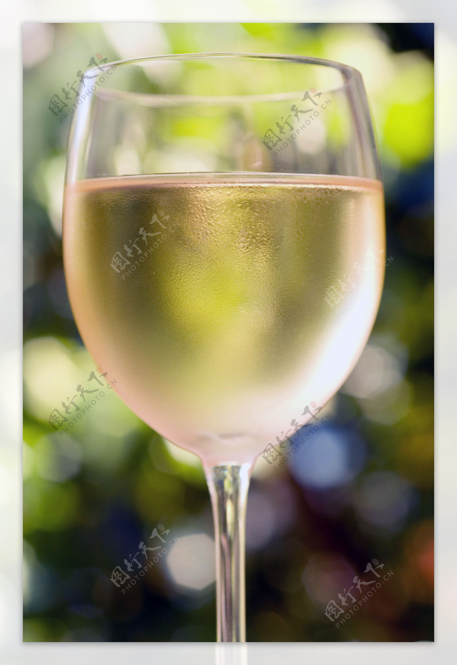 杯里的葡萄美酒特写摄影图片