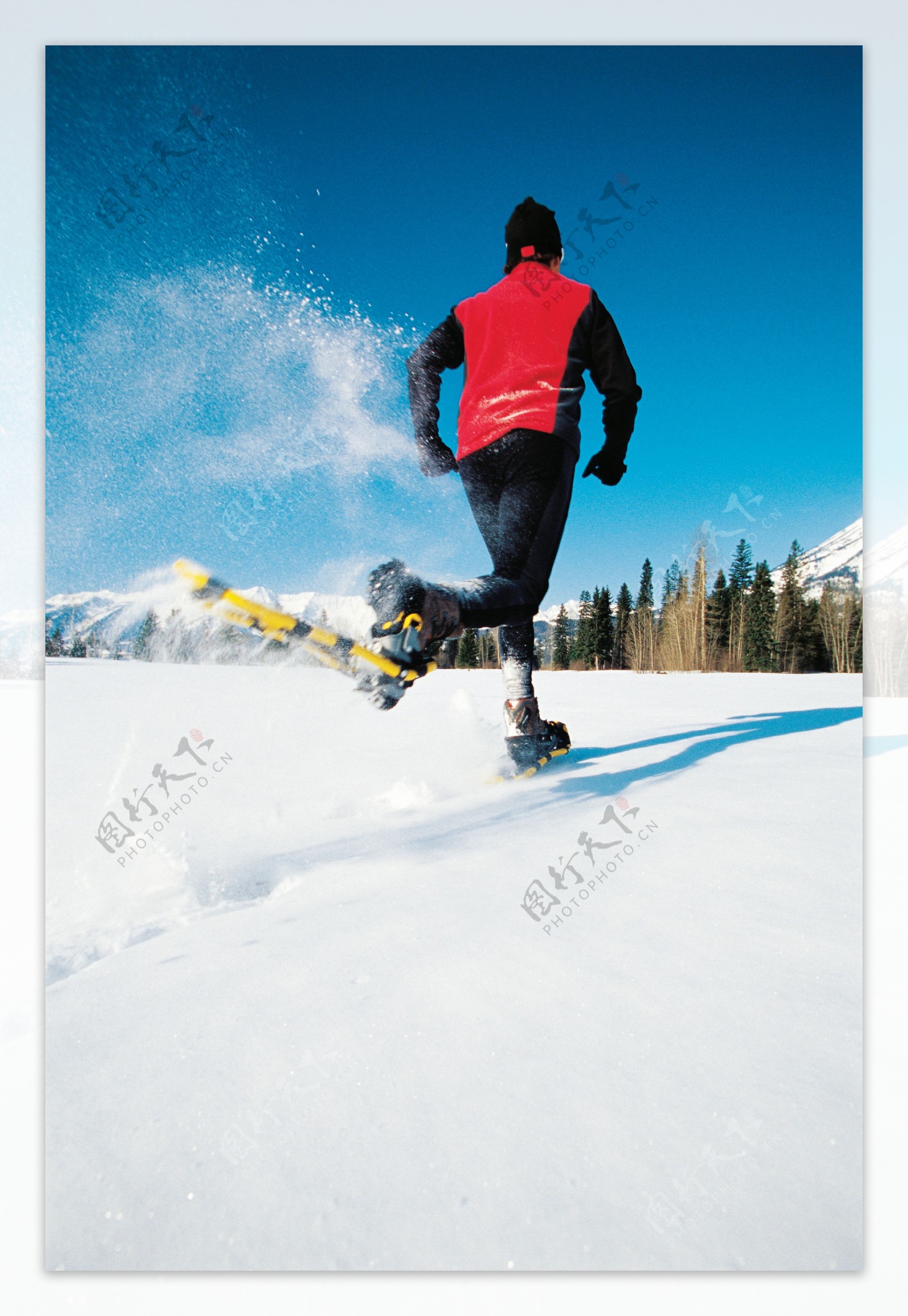 滑雪的人物背影图片
