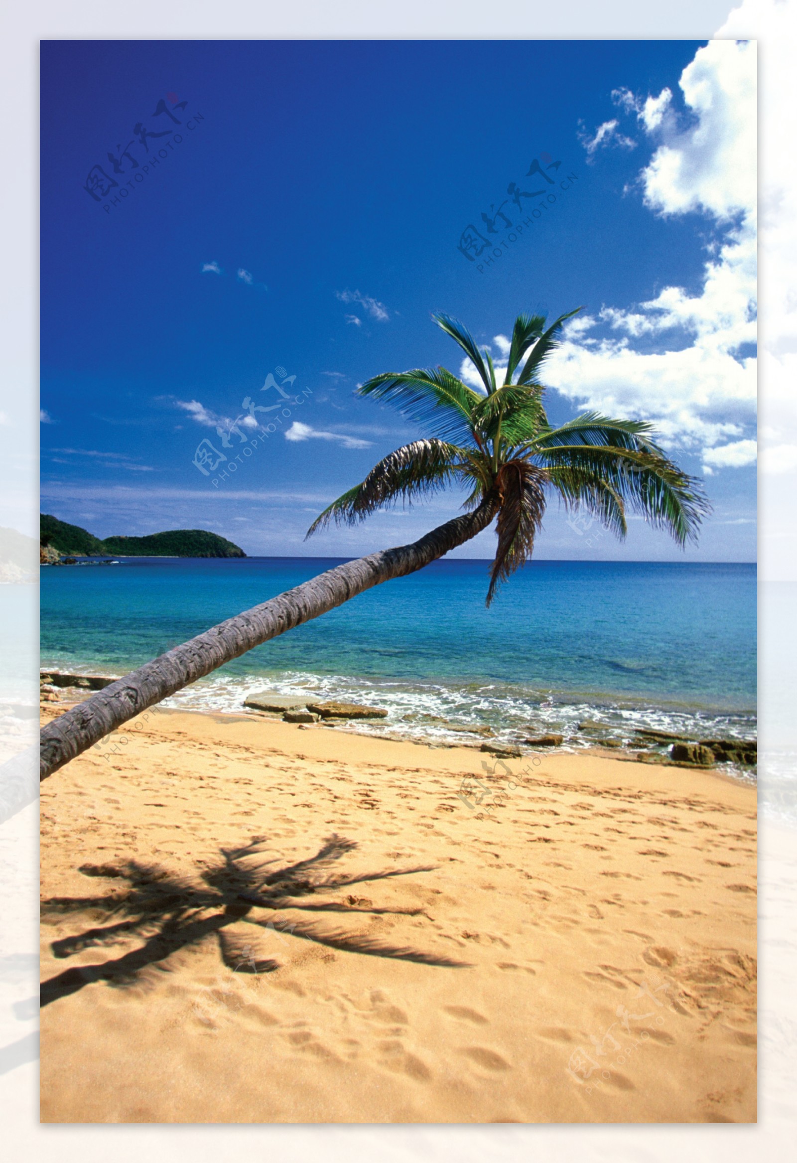 沙滩上的椰树与脚印