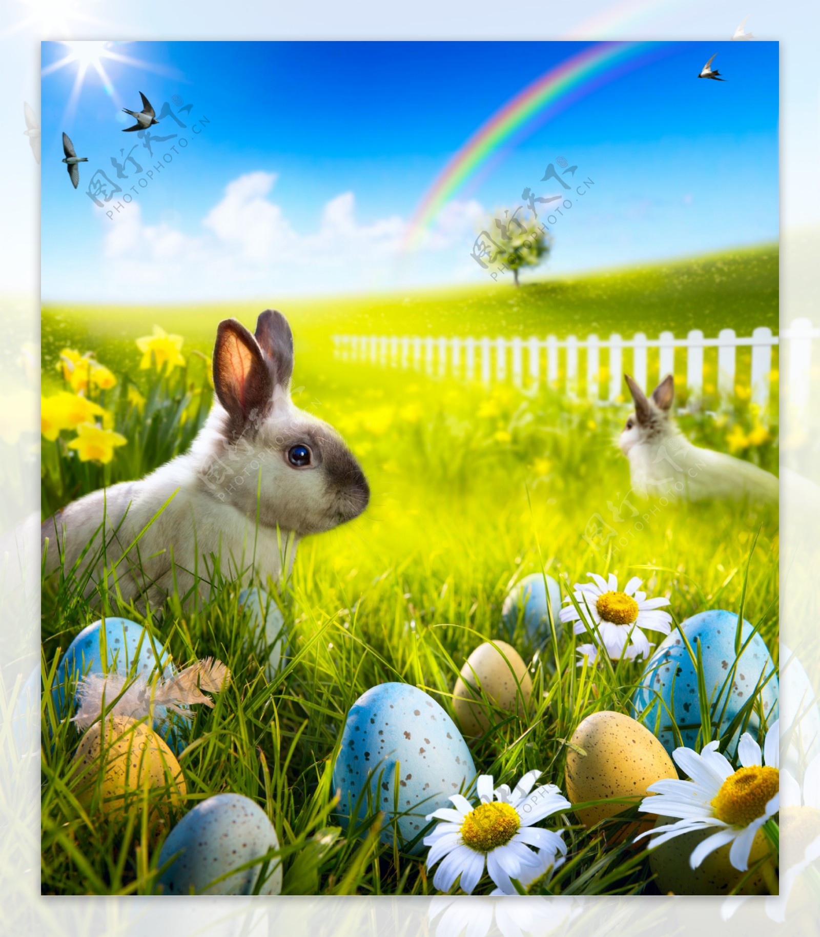 彩虹与复活节彩蛋兔子图片