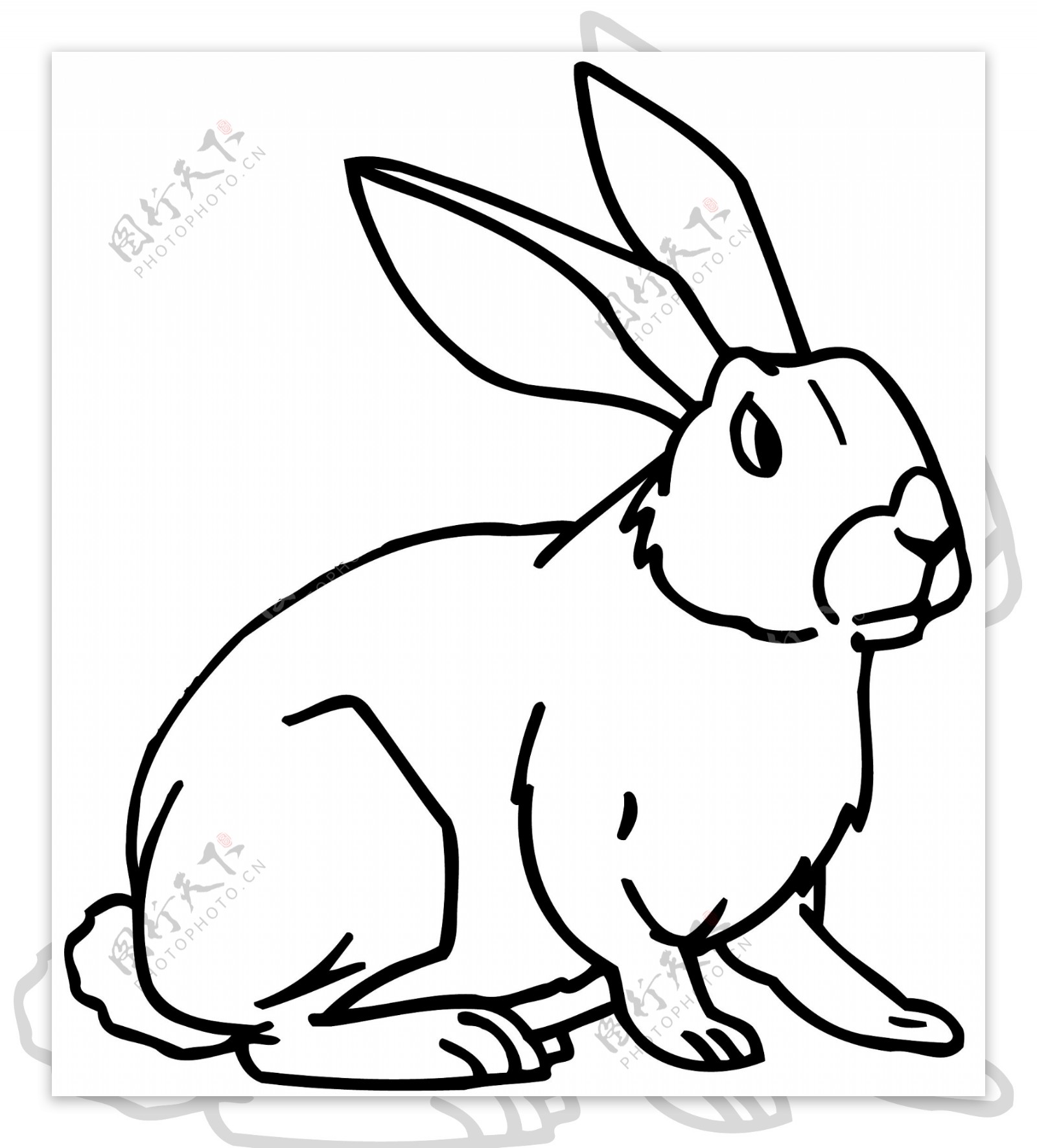 兔子常见动物矢量素材eps格式0011