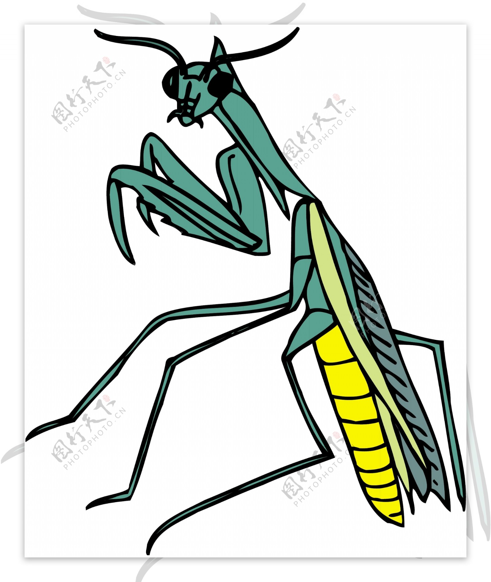 甲虫昆虫矢量素材EPS格式0282
