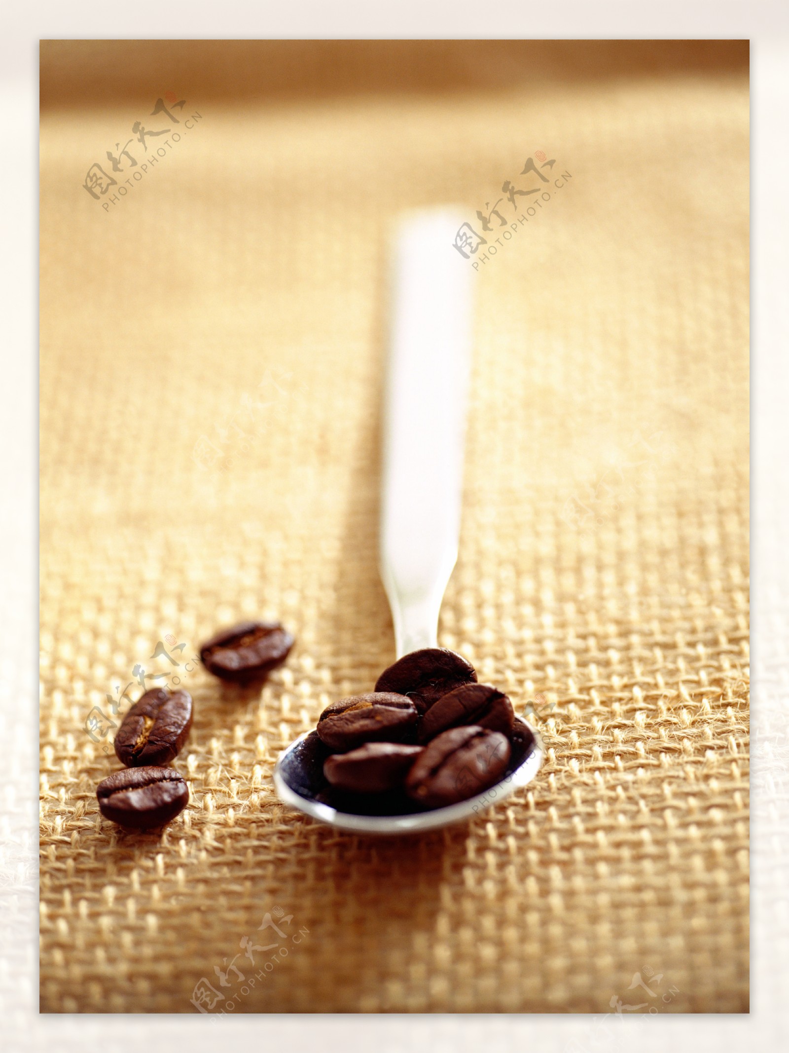 勺子里的咖啡豆颗粒图片