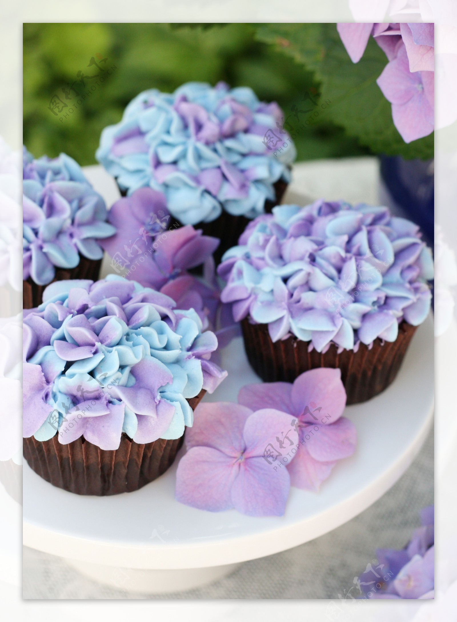 紫色花朵与蛋糕图片