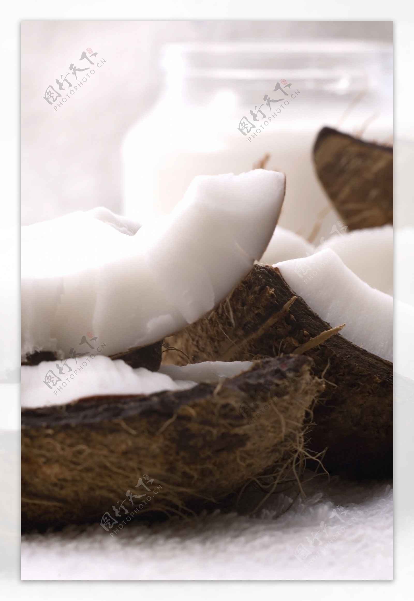 椰子壳图片