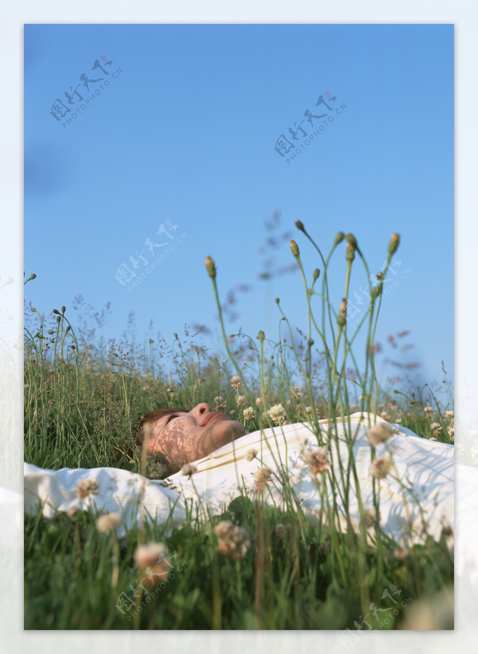 躺在花丛中的女人图片