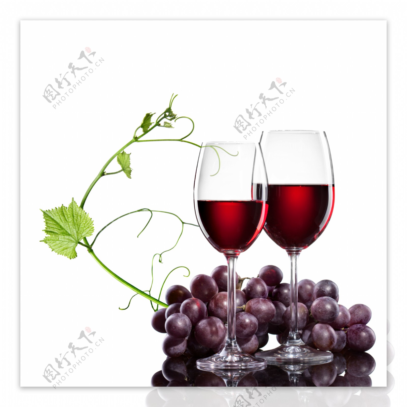 高清葡萄酒样品图片