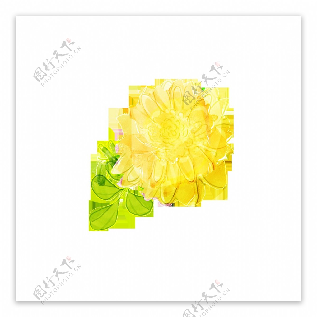 手绘花朵高清素材黄色