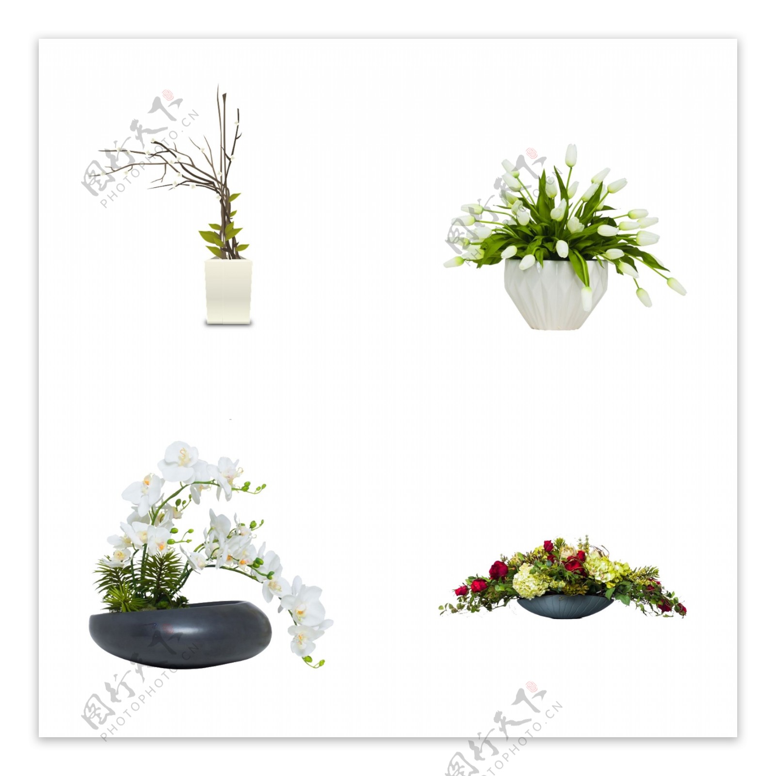 花卉盆栽实物图