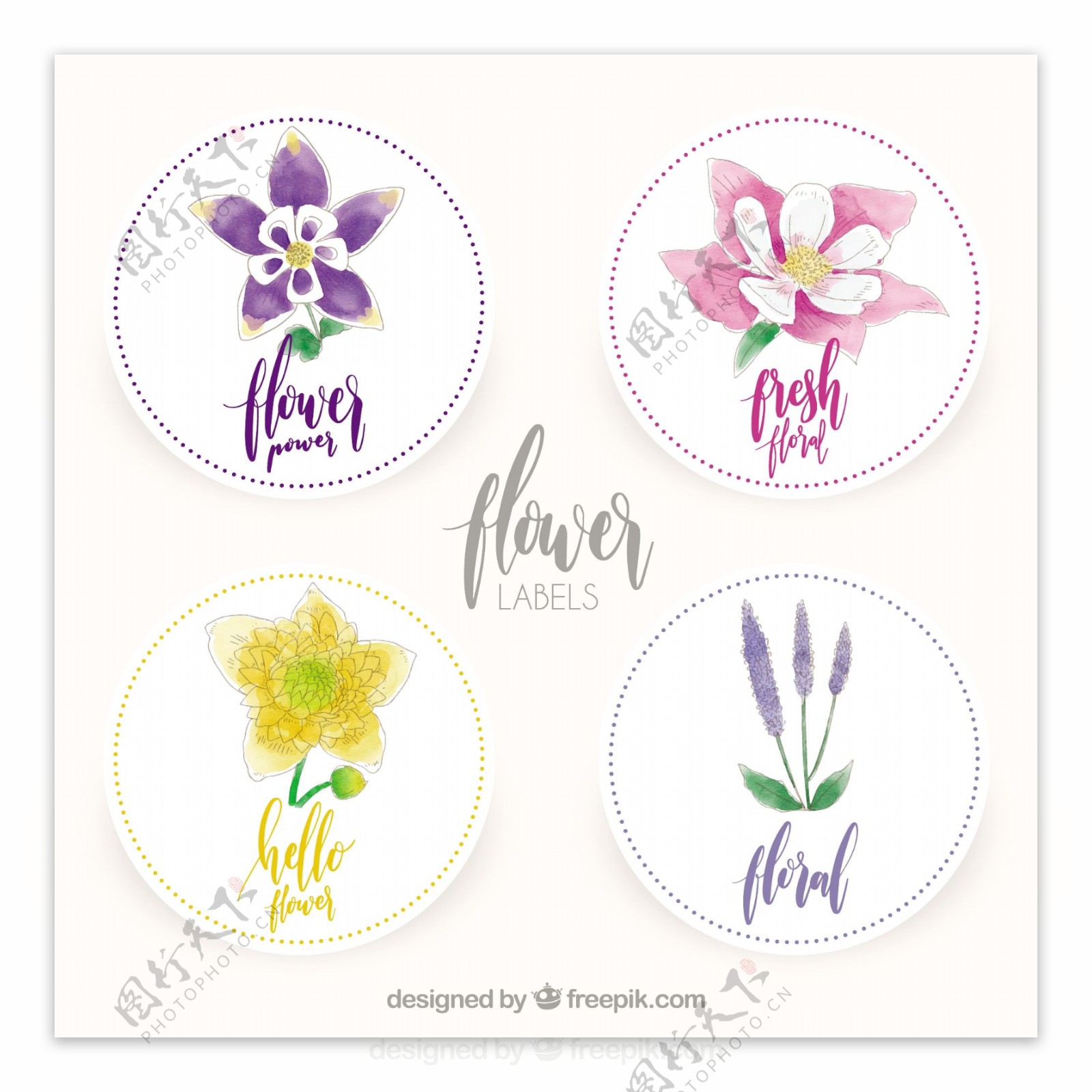 四个水彩花卉圆形标签